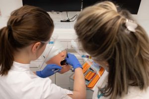 Kamila Wiatr, Docent, Mondhygiëniste, cursus preventie assistente